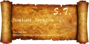Somlyai Terézia névjegykártya