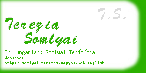 terezia somlyai business card